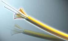 �҃Ȇ�ģ���w