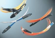 ���w������β�w